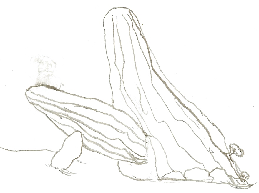 Lion Pride Coloring Pages Coloring Pages